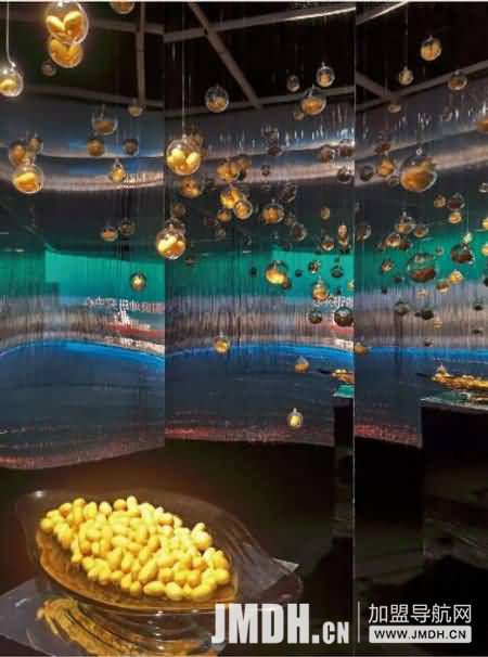 1602651718256469.jpg 7.jpg